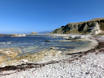 kaikoura (22)